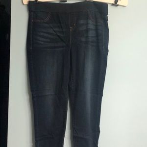 Lane Bryant High Rose Jeggings